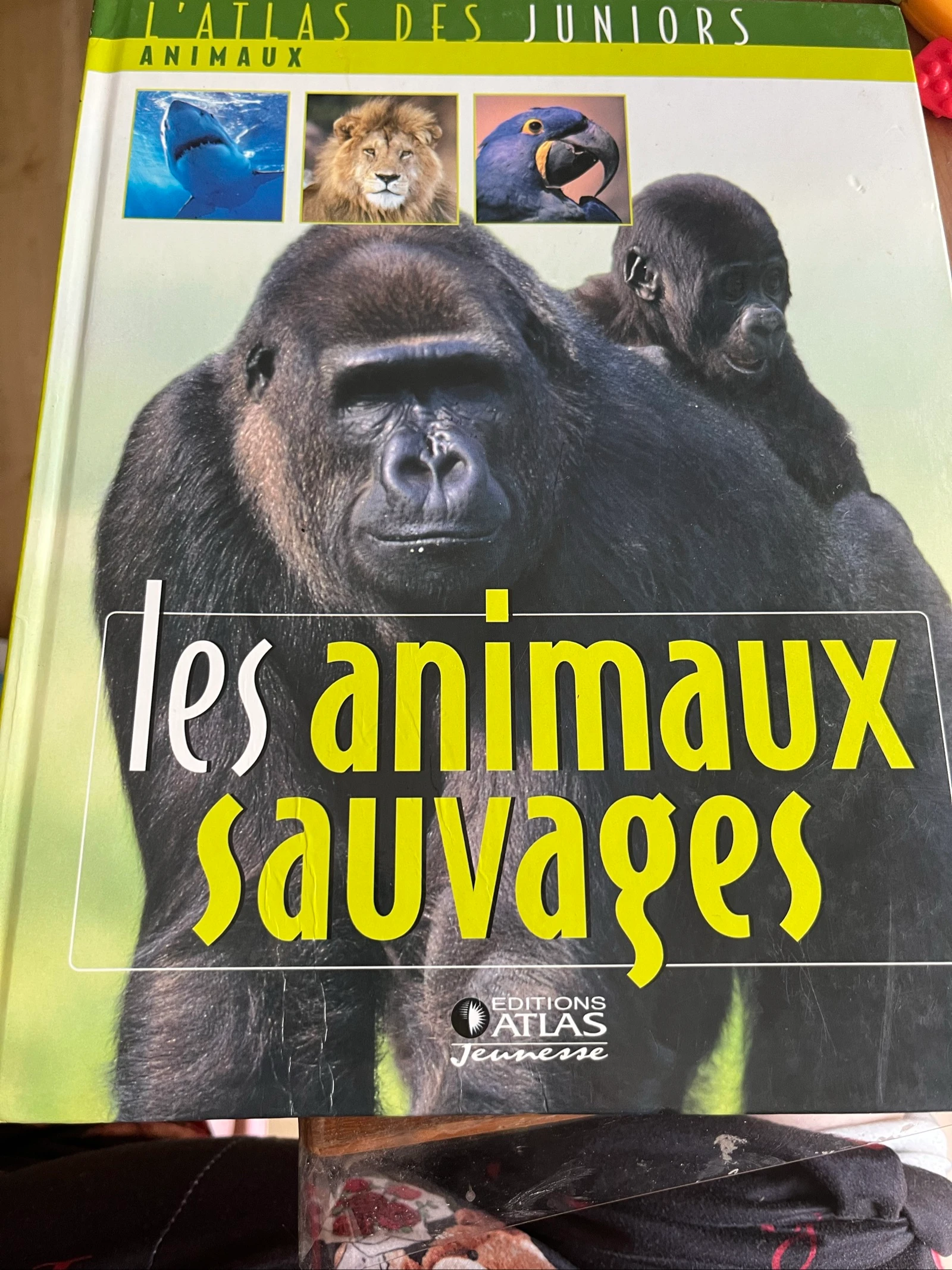 Livre enfant L'Atlas des Juniors : Les animaux sauvages - Éditions Atlas